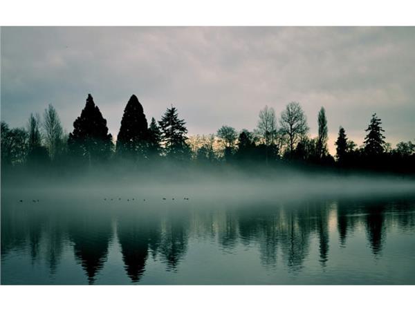 Suya Yansiyan Treelar 3D Wallpaper by MywallpaperShop