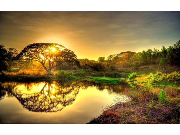 Suya Yansiyan Treelar and Gunisigi 3D Wallpaper by MywallpaperShop