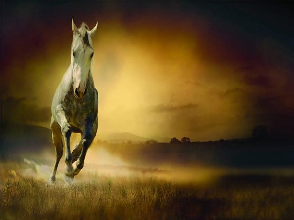 At Scene 131 Wallpaper by MywallpaperSho