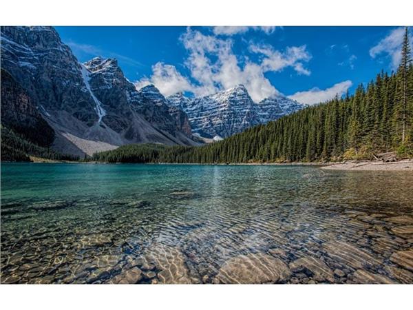 Dag Forest and Nehir Scenery Wallpaper by MywallpaperShop