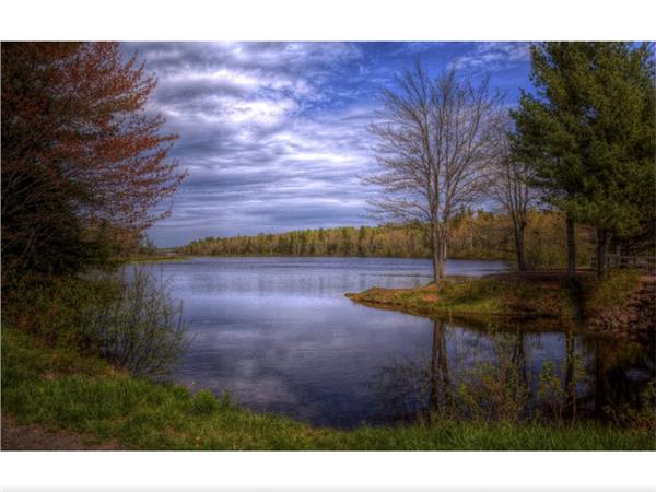 Treelarla Cevrili Gol Scenery Wallpaper by MywallpaperShop