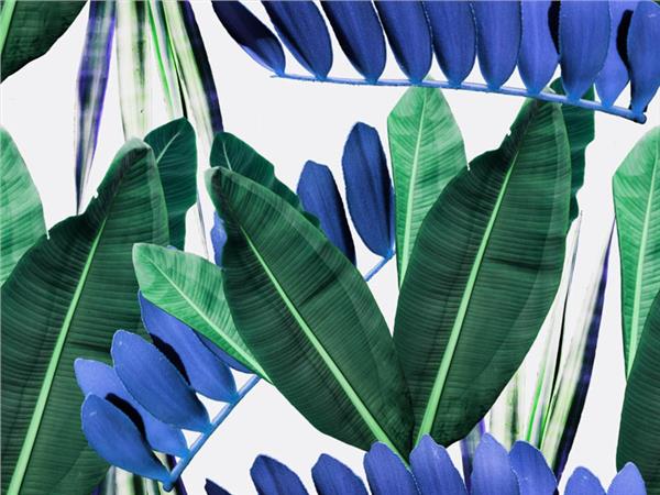 Tropical Leaves 3D Wallpaper by MywallpaperShop