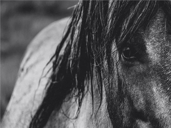 At Scene 140 Wallpaper by MywallpaperSho