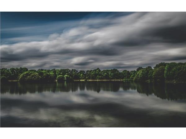 Gol and Forest Scenery 3D Wallpaper by MywallpaperShop