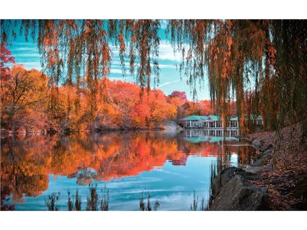 Gol and Forest Scenery 3D Wallpaper by MywallpaperShop