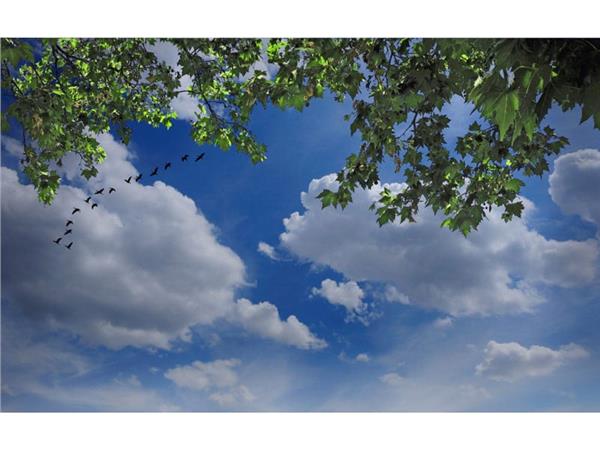 Clouds and Kuslar 3D Wallpaper by MywallpaperShop