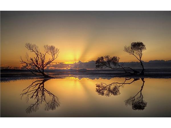 Suya Yansiyan Treelar 3D Wallpaper by MywallpaperShop