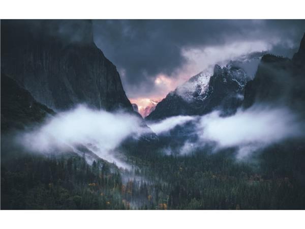 Foggy Forest Nature Scenery Wallpaper by MywallpaperShop