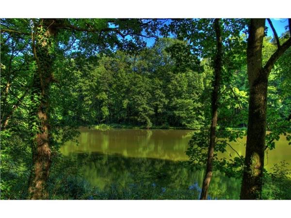 Gol and Nature Scenery Wallpaper by MywallpaperShop