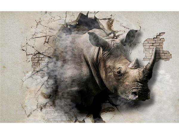 Animals World 151 Wallpaper by MywallpaperShop