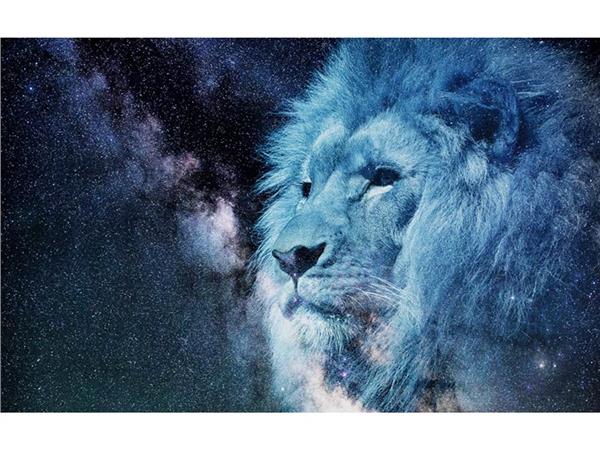Lion Scene 150 Wallpaper by MywallpaperShop