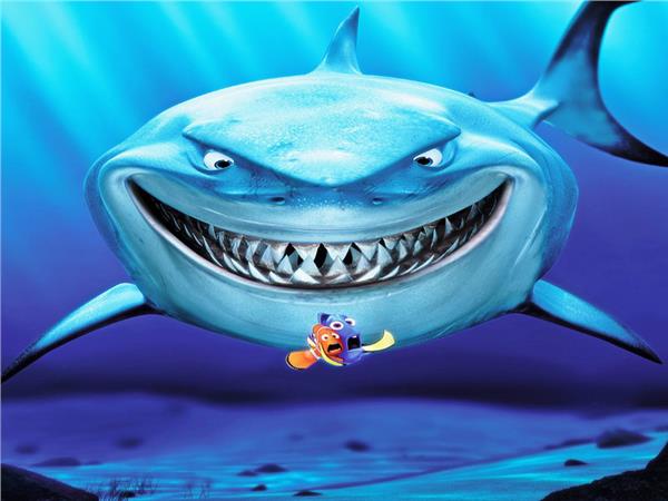 Shark Kids Room Wallpaper by MywallpaperSho