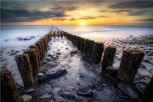 Wooded Iskele Sea Scenery 3D Wallpaper by MywallpaperShop