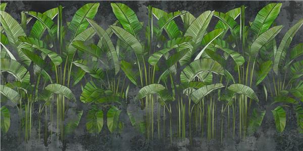 Tropical Big Leaflar 3D Wallpaper by MywallpaperShop
