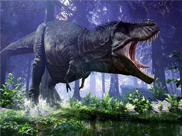 Sinirli Dinasour Kids Room Wallpaper by MywallpaperSho