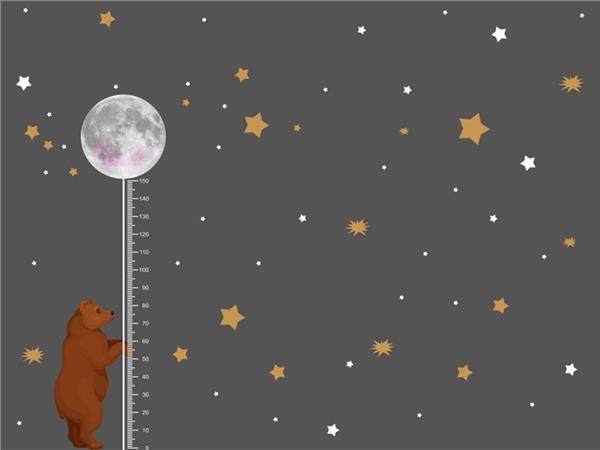 Boy Olcer Ayicikli Kids Room Wallpaper by MywallpaperShop