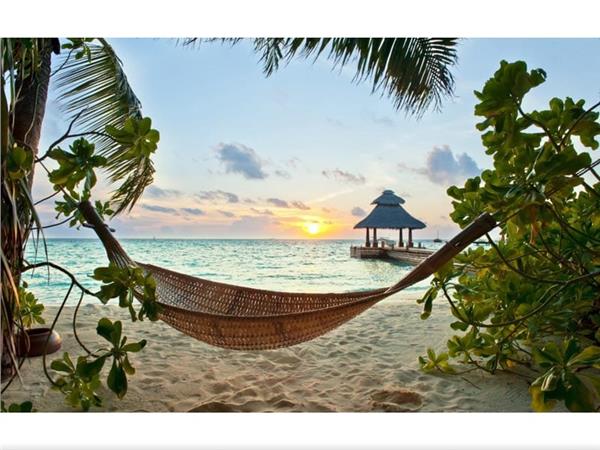 Sea Scenery and Hamak Wallpaper by MywallpaperShop