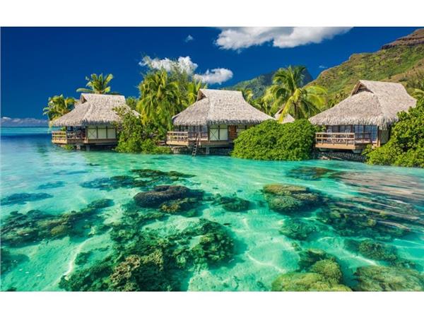 Maldives Sea Scenery Wallpaper by MywallpaperShop