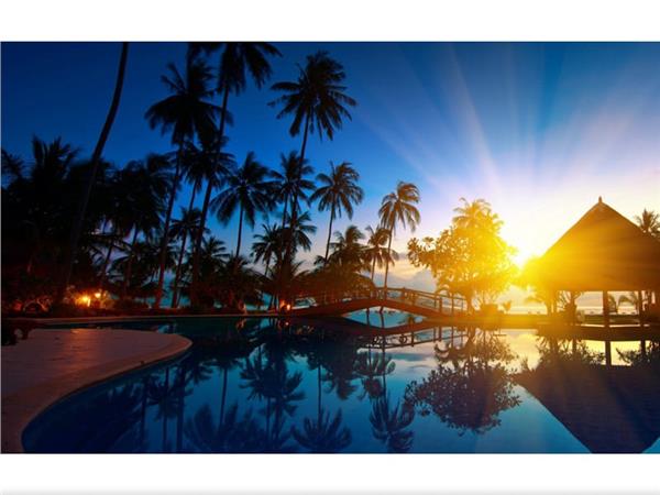 Palm Tree Wallpaper by MywallpaperShop