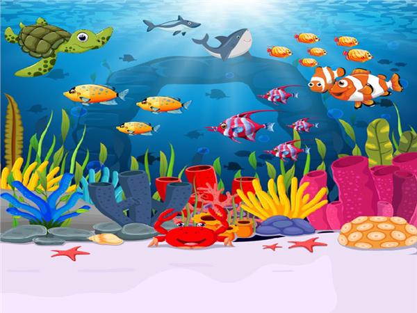 SweetSu Alti Hayvanlari Aquarium Wallpaper by MywallpaperShop