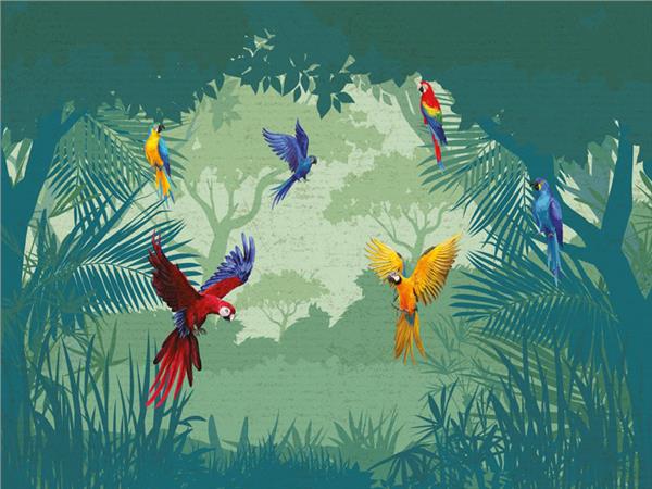 Amazon Custom Design Wallpaper by MywallpaperShop