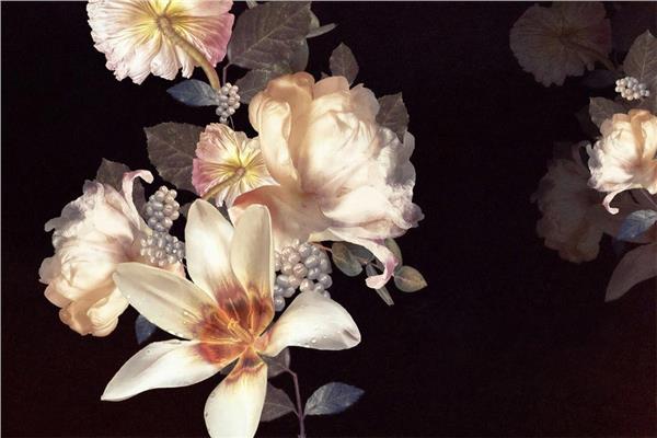 White Flowers Black Fon Wallpaper by MywallpaperShop