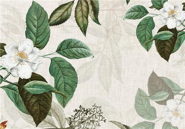 White Flower Green Leaves Wallpaper by MywallpaperShop
