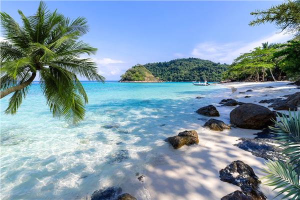 White Sandy Denize Uzanan Palm Tree Treei Wallpaper by MywallpaperShop