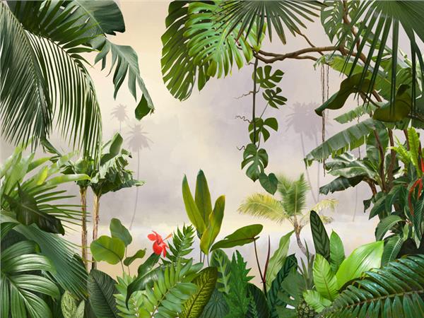 Palm Tree Leaves Wallpaper by MywallpaperShop