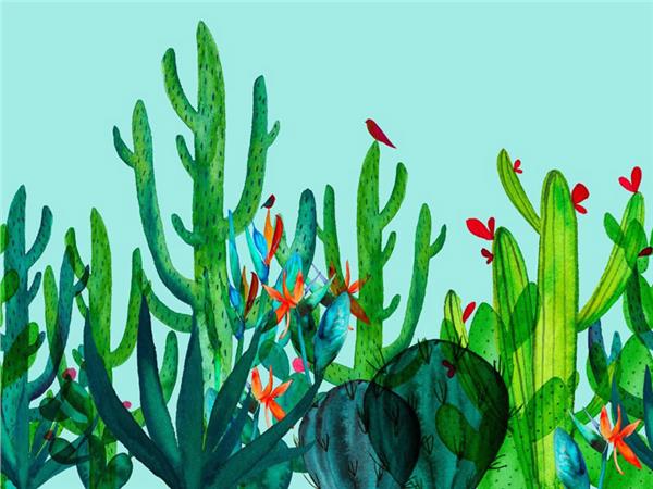 Botanic Kaktus Custom Design Wallpaper by MywallpaperShop