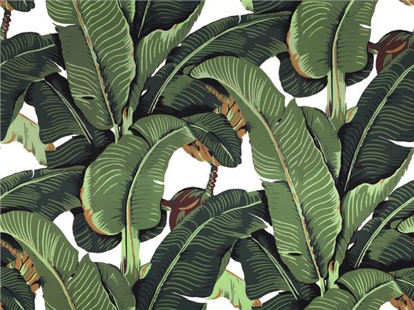 Botanic Leaflar Design Wallpaper by MywallpaperShop