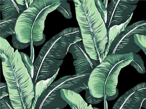 Botanic Custom Design Wallpaper by MywallpaperShop