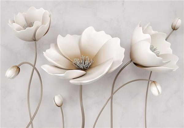 Big White Flower 3D Wallpaper by MywallpaperShop