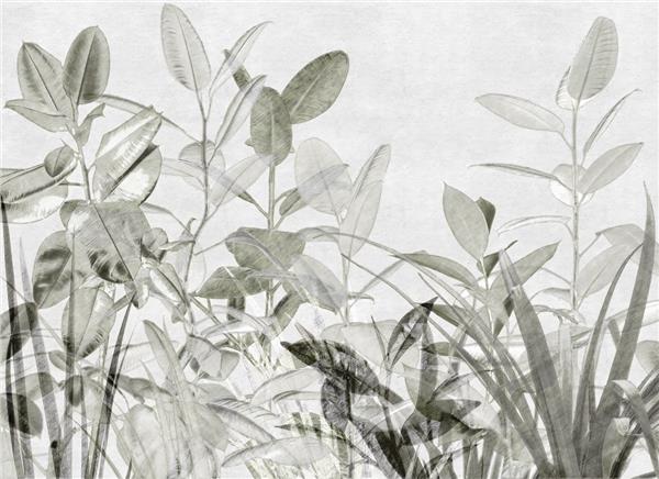 Big Leaves Wallpaper by MywallpaperShop