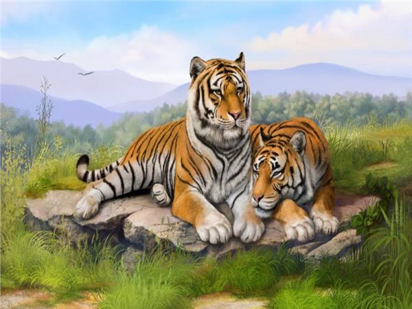 Tiger Family Kids Room Wallpaper by MywallpaperSho