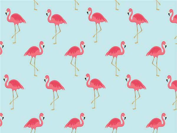 Flamingo Scene Kids Room Wallpaper by MywallpaperSho