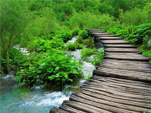 Waterfall Scenery Wallpaper by MywallpaperSho