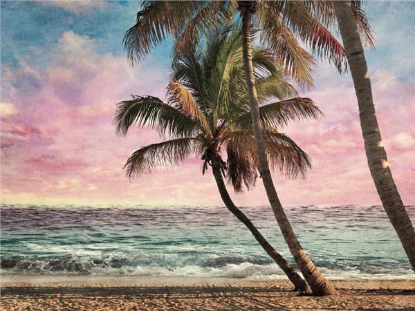 Sun Sunset and Palm Trees Sea Scenery Wallpaper by MywallpaperSho