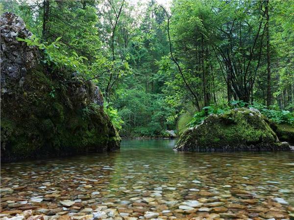 Waterfall Scenery Wallpaper by MywallpaperSho