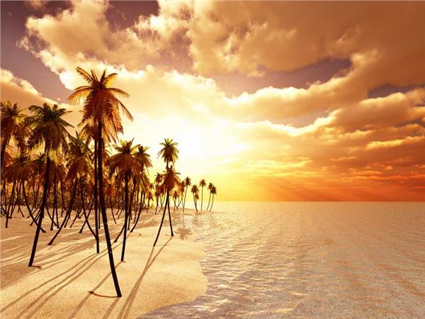 Tropical Island Sea Scenery Wallpaper by MywallpaperSho