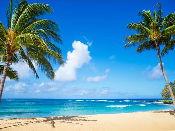 Tropical Island Sea Scenery Wallpaper by MywallpaperSho