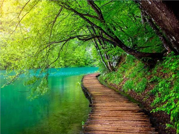Waterfall Scenery Wallpaper by MywallpaperSho