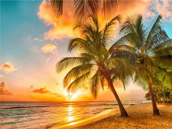 Sun Sunset and Palm Trees Sea Scenery Wallpaper by MywallpaperSho