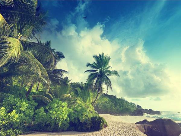 Tropical Island Retro Sea Scenery Wallpaper by MywallpaperSho