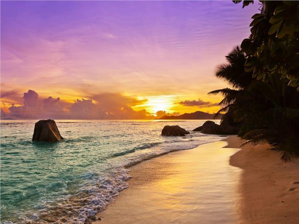 Sun Sunset and Palm Trees Sea Scenery Wallpaper by MywallpaperSho