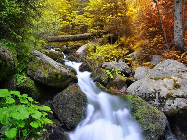 Waterfall Scenery Wallpaper by MywallpaperSho