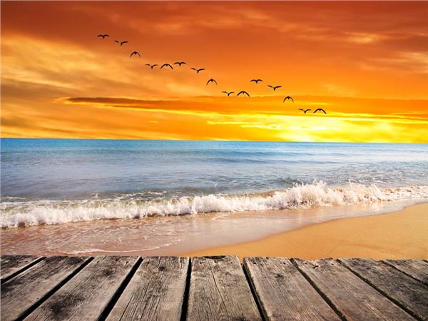 Wooden Iskele Sea Scenery Wallpaper by MywallpaperSho