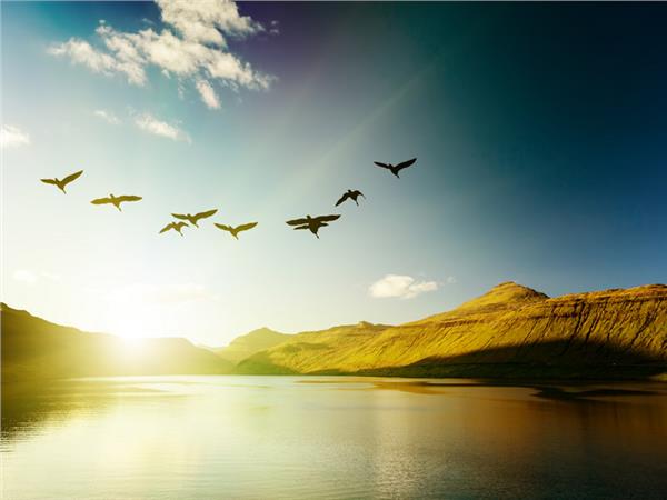 Sunrise Sea Scenery Wallpaper by MywallpaperSho