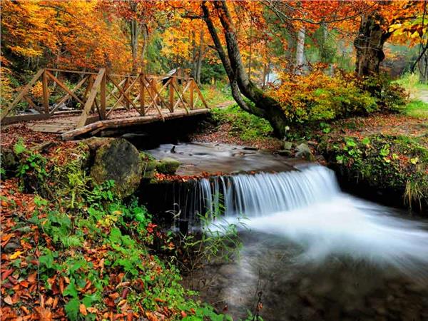 Waterfall Scenery Wallpaper by MywallpaperSho