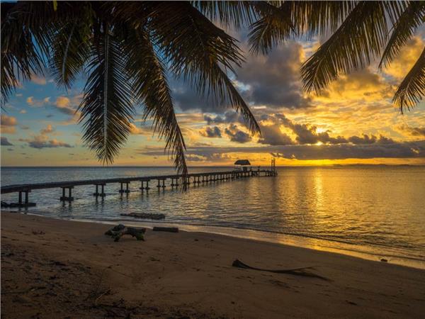 Sun Sunset and Palm Trees Sea Scenery Wallpaper by MywallpaperSho
